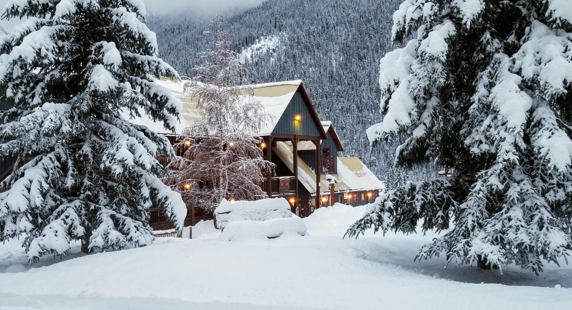 Truffle Pigs Lodge フィールド エクステリア 写真